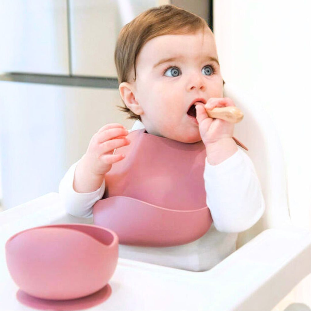 Baby Bliss Silicone Bibs